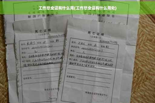 工作毕业证有什么用(工作毕业证有什么用处)