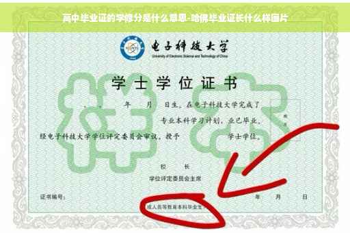 高中毕业证的学修分是什么意思-哈佛毕业证长什么样图片