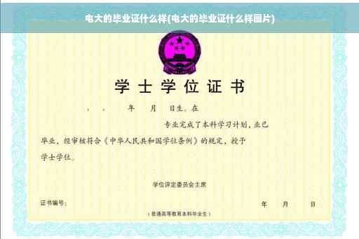 电大的毕业证什么样(电大的毕业证什么样图片)