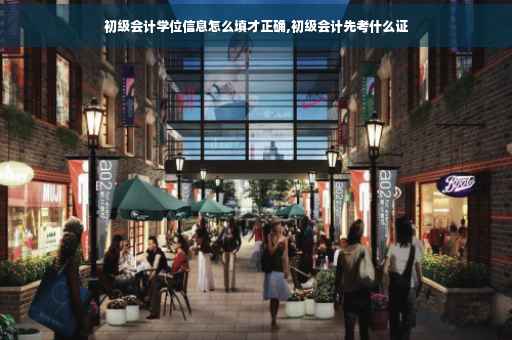 初级会计学位信息怎么填才正确,初级会计先考什么证