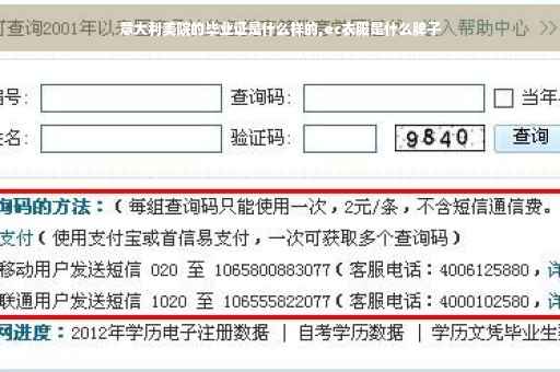 意大利美院的毕业证是什么样的,ec衣服是什么牌子