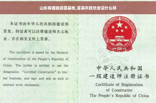山东有哪些蔬菜基地,莒县农校毕业证什么样