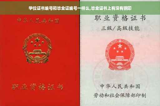 学位证书编号和毕业证编号一样么,毕业证书上有没有钢印