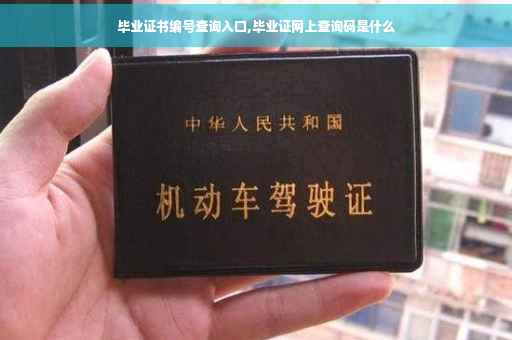 毕业证书编号查询入口,毕业证网上查询码是什么