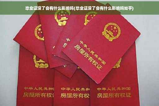 毕业证没了会有什么影响吗(毕业证没了会有什么影响吗知乎)