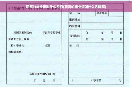 职高的毕业证叫什么名称(职高的毕业证叫什么名称呢)