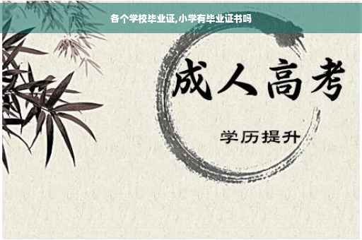 各个学校毕业证,小学有毕业证书吗