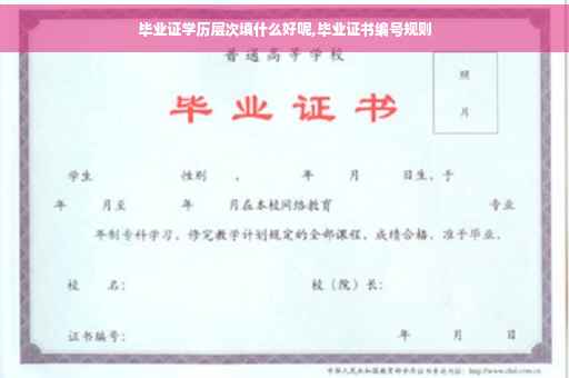 毕业证学历层次填什么好呢,毕业证书编号规则