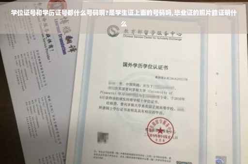 学位证号和学历证号都什么号码啊?是学生证上面的号码吗,毕业证的照片能证明什么