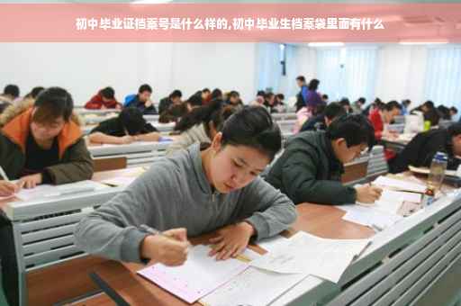初中毕业证档案号是什么样的,初中毕业生档案袋里面有什么