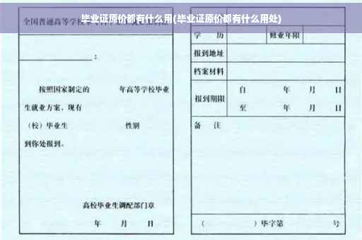 毕业证原价都有什么用(毕业证原价都有什么用处)