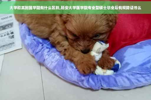 大学和其附属学院有什么区别,延安大学医学院专业型硕士毕业后有规陪证书么