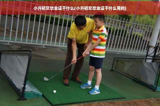 小升初交毕业证干什么(小升初交毕业证干什么用的)