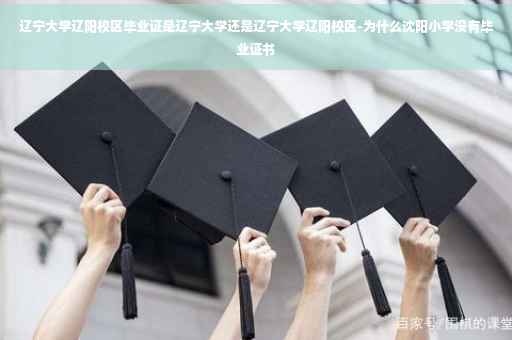 辽宁大学辽阳校区毕业证是辽宁大学还是辽宁大学辽阳校区-为什么沈阳小学没有毕业证书