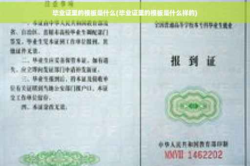毕业证里的模板是什么(毕业证里的模板是什么样的)