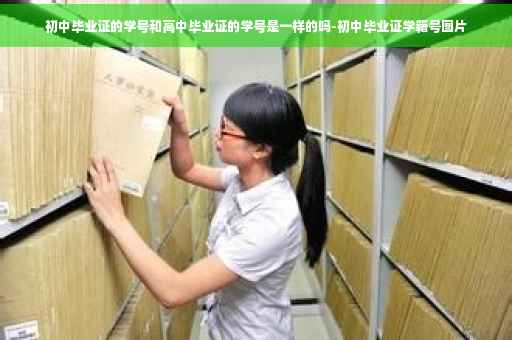 初中毕业证的学号和高中毕业证的学号是一样的吗-初中毕业证学籍号图片