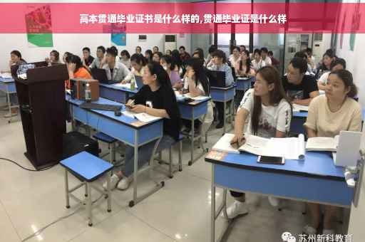 高本贯通毕业证书是什么样的,贯通毕业证是什么样