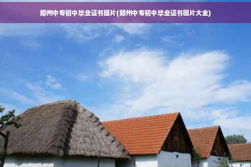 郑州中专初中毕业证书图片(郑州中专初中毕业证书图片大全)