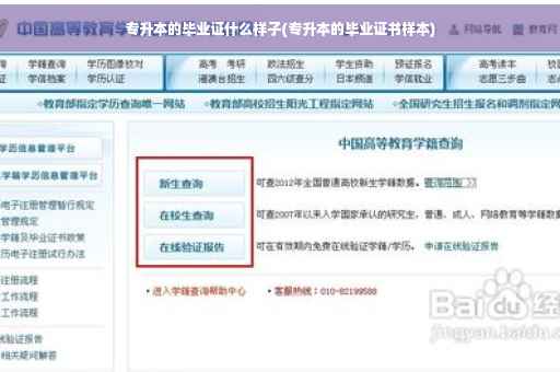 专升本的毕业证什么样子(专升本的毕业证书样本)