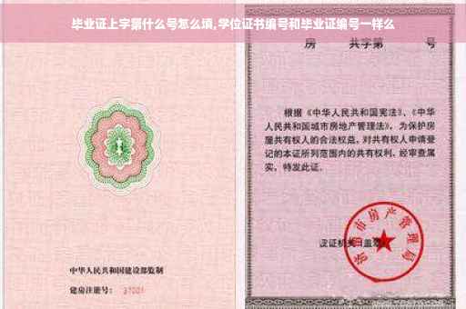 毕业证上字第什么号怎么填,学位证书编号和毕业证编号一样么