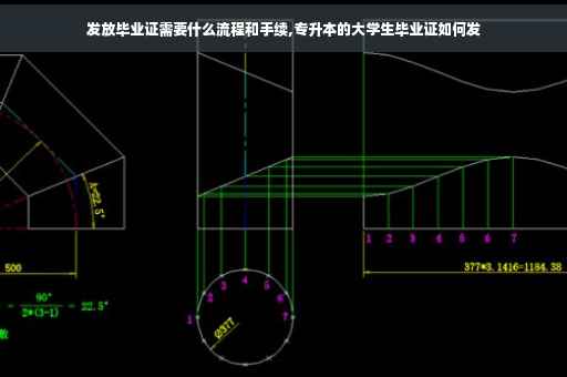 发放毕业证需要什么流程和手续,专升本的大学生毕业证如何发