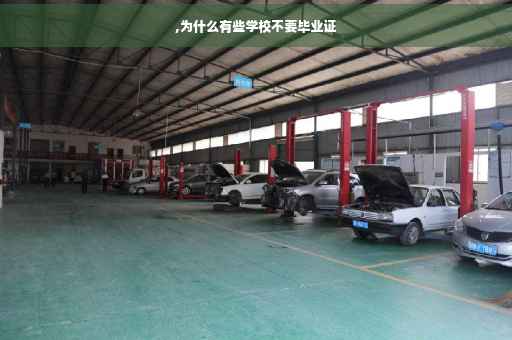 ,为什么有些学校不要毕业证