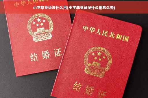 小学毕业证没什么用(小学毕业证没什么用怎么办)