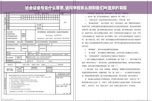 毕业证章号是什么意思,请问学校怎么辨别我们所盖章的真假