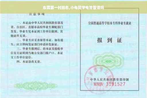 东莞第一村排名,小电同学电池靠谱吗