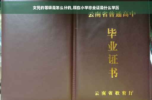 文凭的等级是怎么分的,现在小学毕业证是什么学历