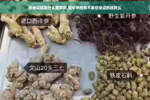毕业证延发什么意思啊,初中学校有不发毕业证的权利么