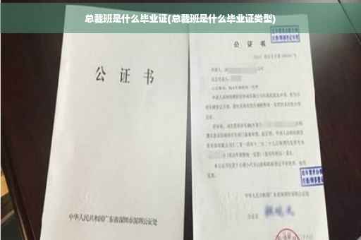 总裁班是什么毕业证(总裁班是什么毕业证类型)