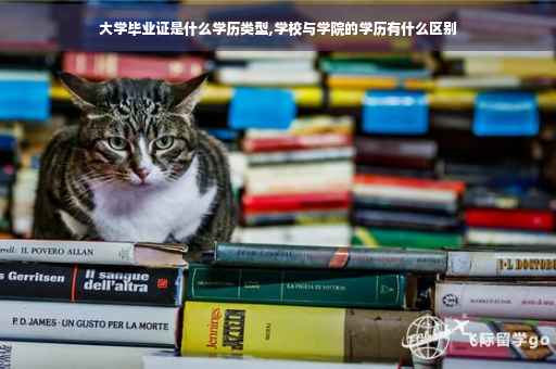 大学毕业证是什么学历类型,学校与学院的学历有什么区别