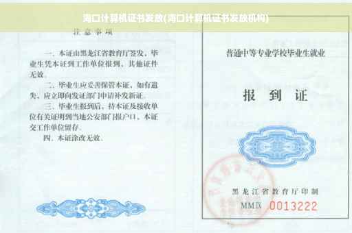 海口计算机证书发放(海口计算机证书发放机构)