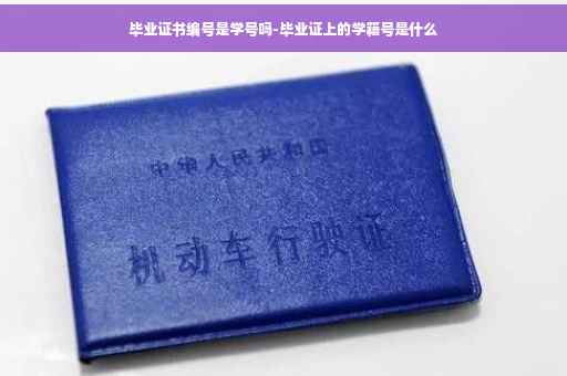 毕业证书编号是学号吗-毕业证上的学籍号是什么