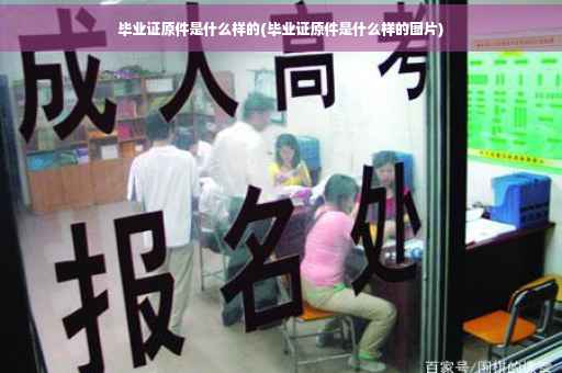 毕业证原件是什么样的(毕业证原件是什么样的图片)