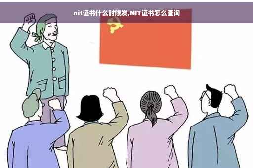 nit证书什么时候发,NIT证书怎么查询 nit证书什么时候发,NIT证书怎么查询