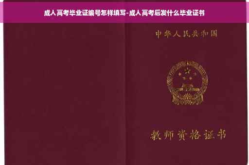 成人高考毕业证编号怎样填写-成人高考后发什么毕业证书