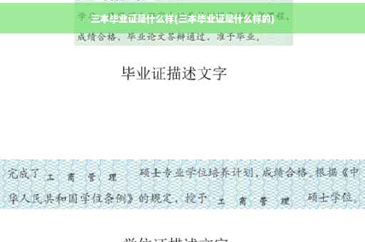 三本毕业证是什么样(三本毕业证是什么样的)