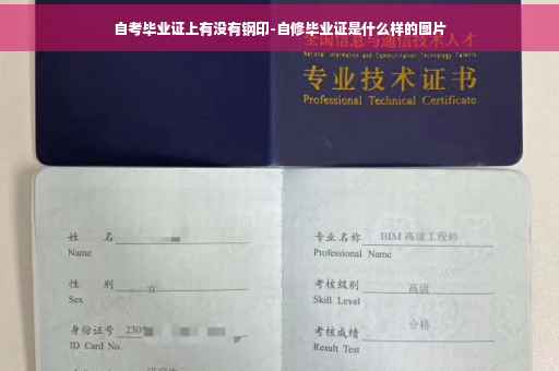 自考毕业证上有没有钢印-自修毕业证是什么样的图片