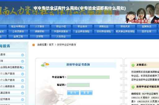 中中专毕业证有什么用处(中专毕业证都有什么用处)