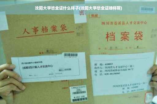 沈阳大学毕业证什么样子(沈阳大学毕业证啥样啊)