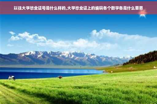 以往大学毕业证号是什么样的,大学毕业证上的编码各个数字各是什么意思