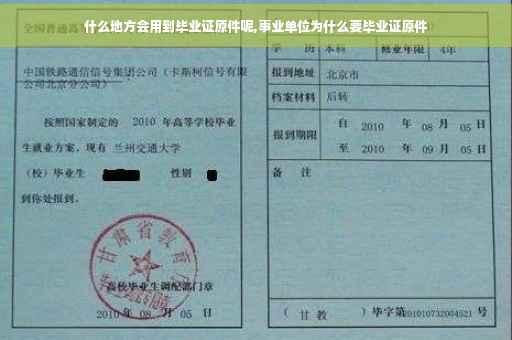 什么地方会用到毕业证原件呢,事业单位为什么要毕业证原件