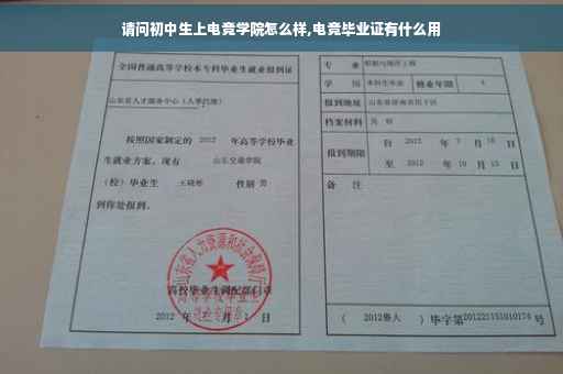 请问初中生上电竞学院怎么样,电竞毕业证有什么用