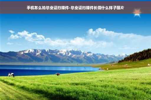 手机怎么拍毕业证扫描件-毕业证扫描件长得什么样子图片