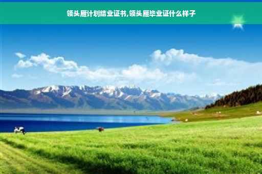 领头雁计划结业证书,领头雁毕业证什么样子