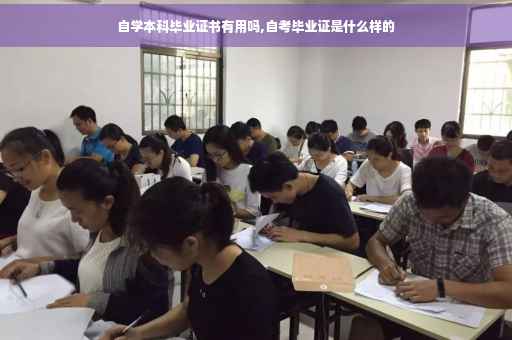 自学本科毕业证书有用吗,自考毕业证是什么样的