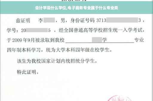 会计学是什么学位,电子商务专业属于什么专业类