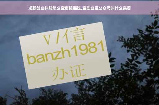 求职创业补贴怎么查审核通过,查毕业证公众号叫什么来着